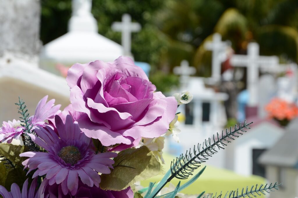 cementerio, flor, beautiful flowers-948048.jpg